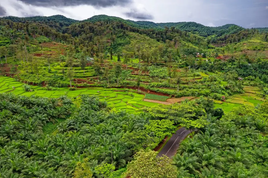 Pemandangan perbukitan dan jalan desa untuk liburan lokal